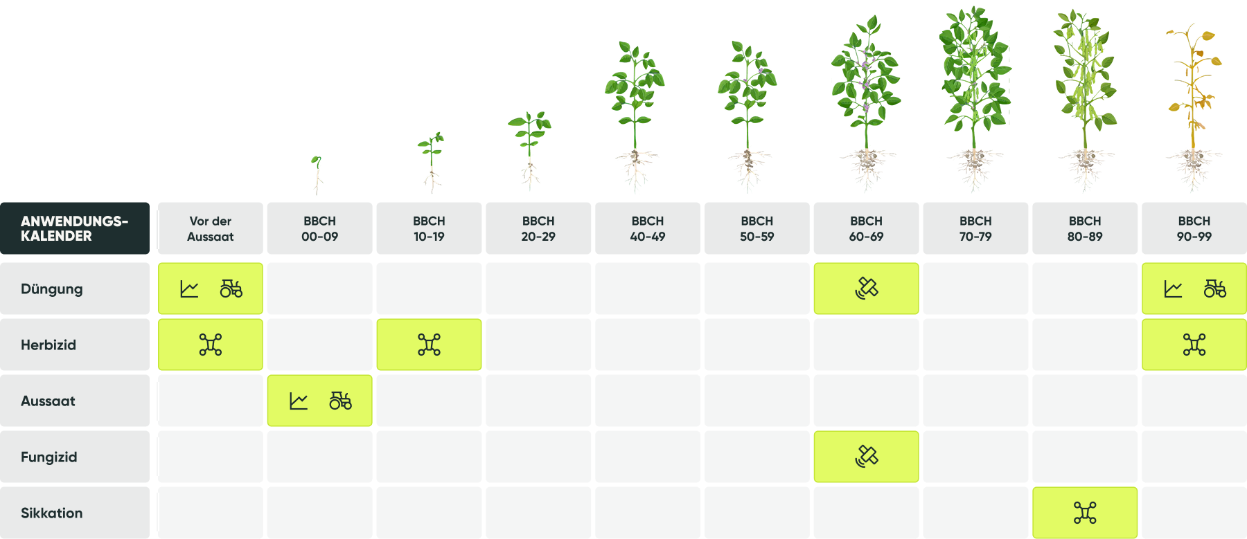 Table soybean