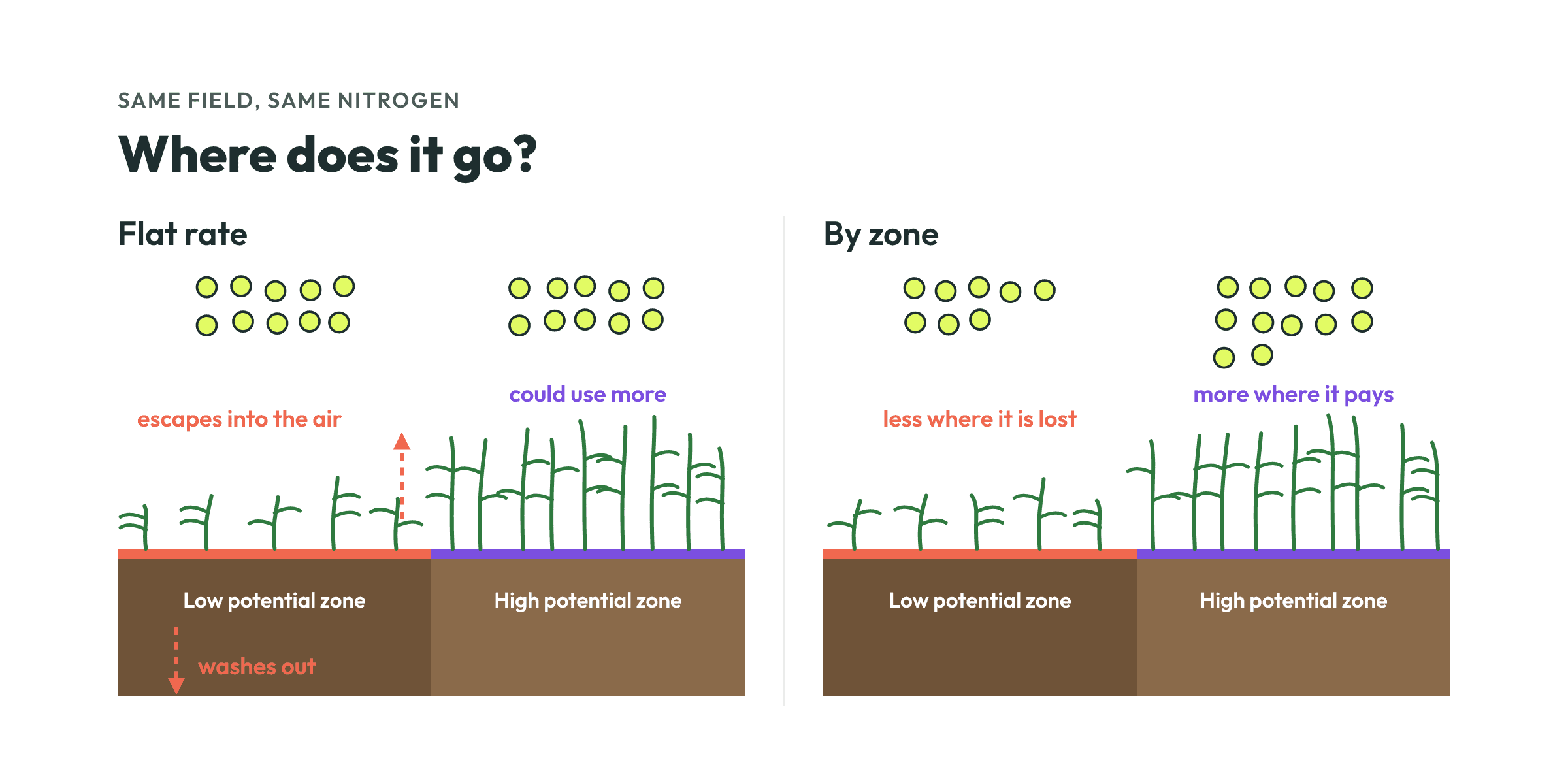 The same amount of nitrogen spread flat versus by zone: with a flat rate the low potential zone loses it, with zones it goes where the crop uses it