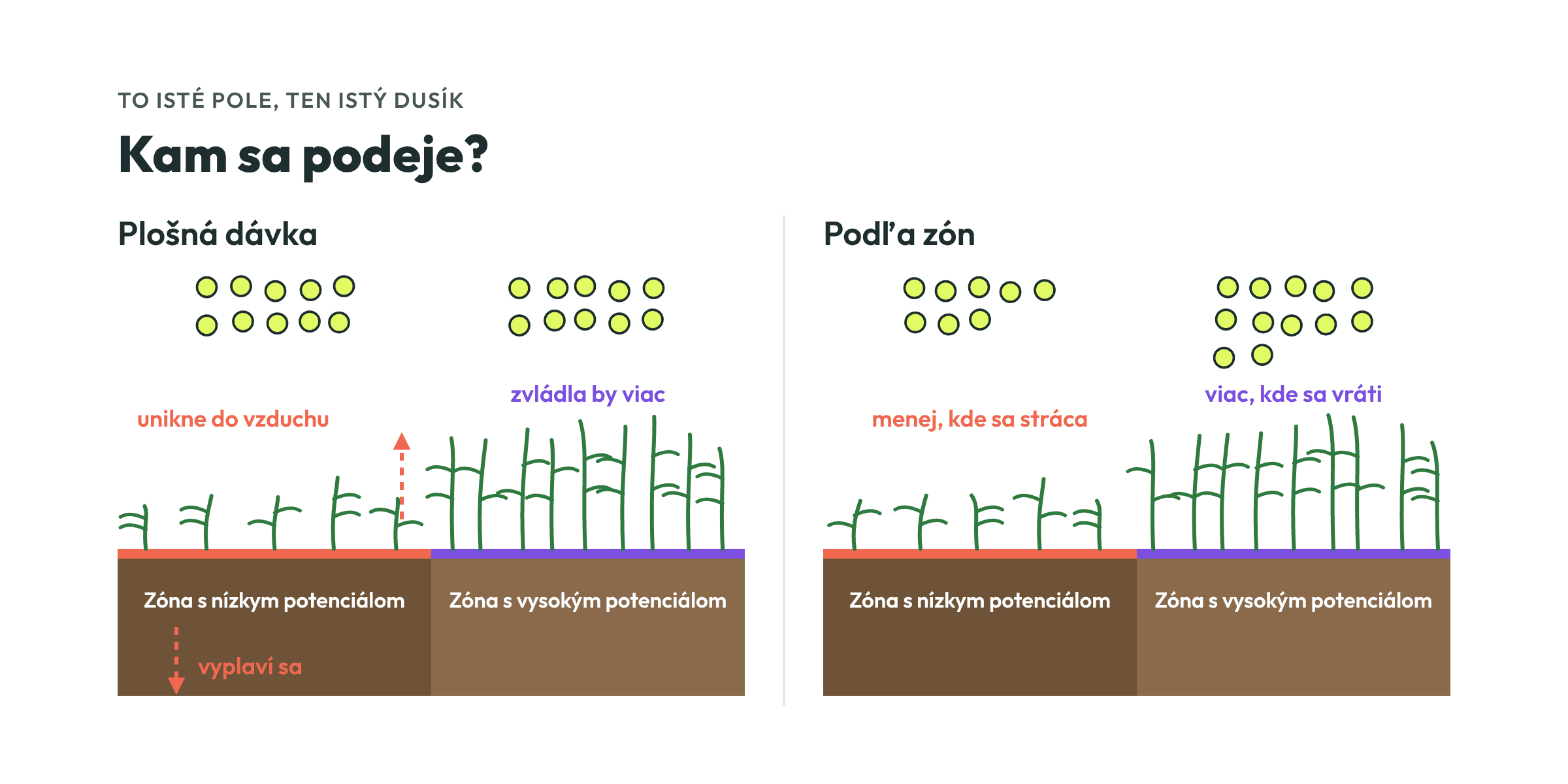 Rovnaké množstvo dusíka pri jednotnej dávke a podľa zón: pri jednotnej dávke sa v zóne s nízkym potenciálom stratí, podľa zón ide tam, kde ho porast využije