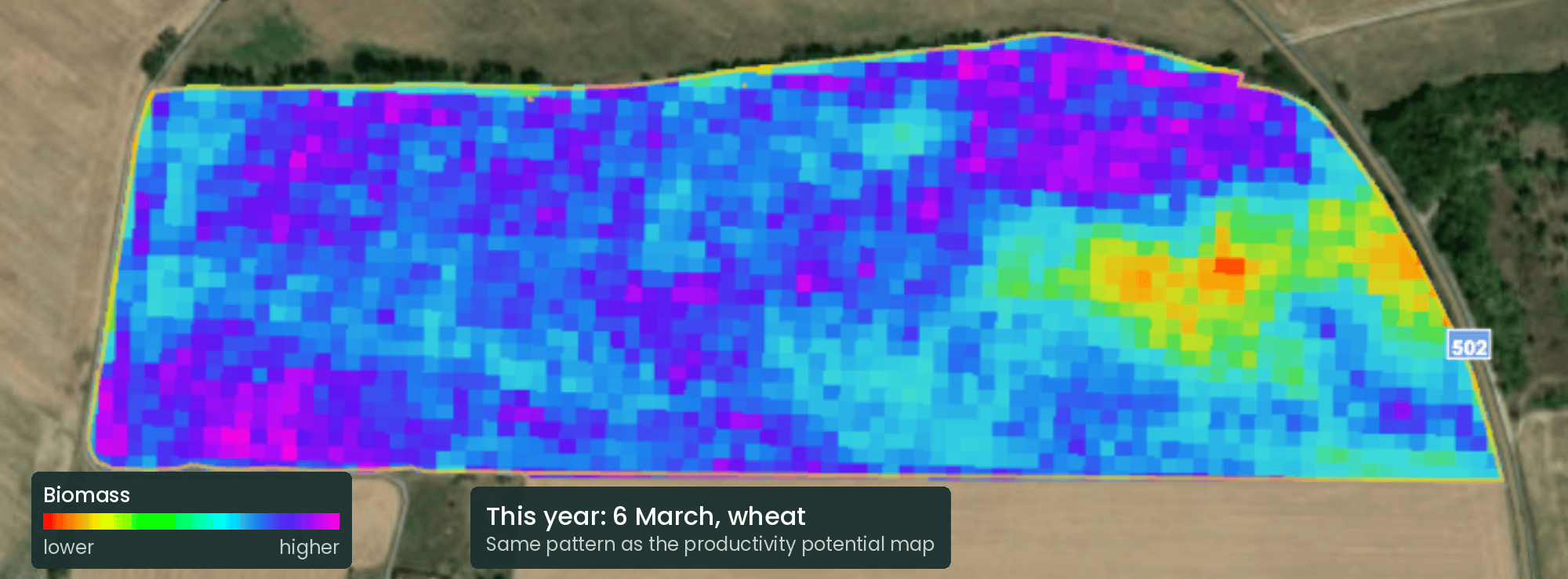 Satellite image of the same field on 6 March, with wheat