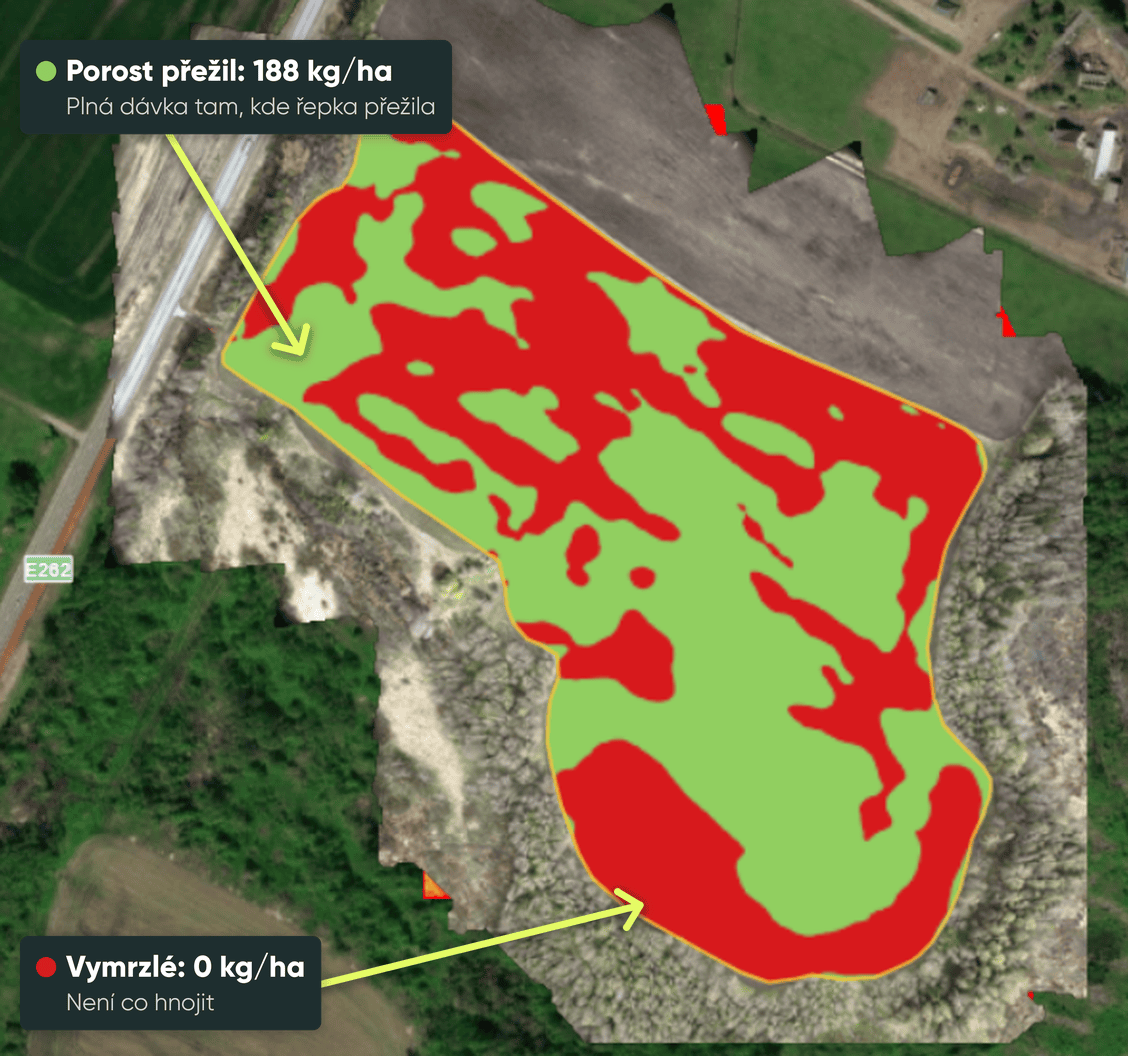 Aplikační mapa se dvěma zónami pro řepku po vymrznutí: 188 kg/ha a 0 kg/ha