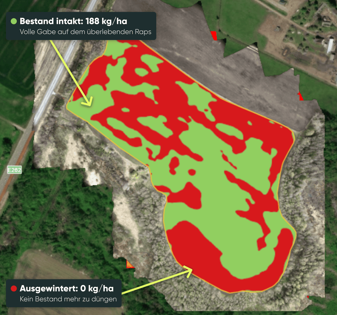 Applikationskarte mit zwei Zonen für Raps nach Auswinterung: 188 kg/ha und 0 kg/ha