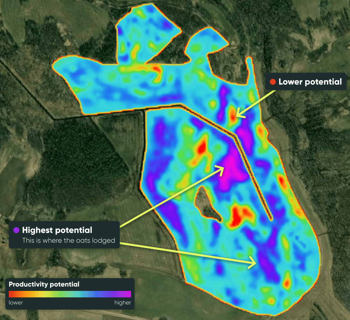 CultiWise productivity potential map of the oats field, highest potential zones in purple